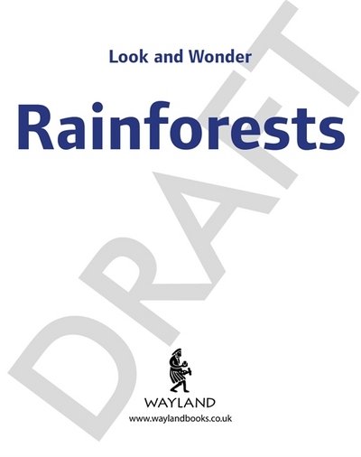 Cover for Kay Barnham · Look and Wonder: Incredible Rainforests - Look and Wonder (Inbunden Bok) (2018)