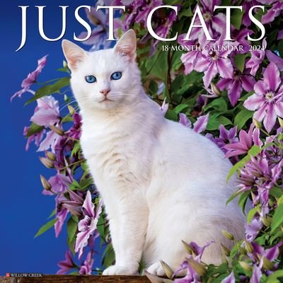 Cover for Willow Creek Press · Just Cats 2024 12 X 12 Wall Calendar (Calendar) (2023)