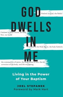 Cover for Joel Stepanek · God Dwells in Me (Paperback Book) (2021)