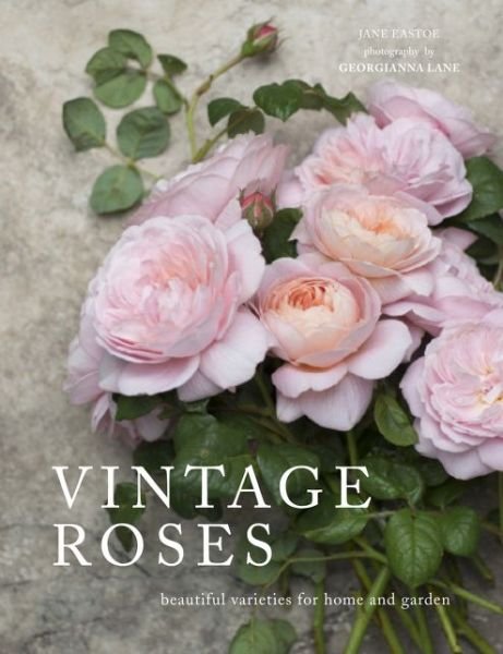Cover for Jane Eastoe · Vintage Roses: Beautiful varieties for home and garden (Hardcover Book) (2016)