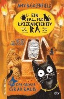 Cover for Amy Greenfield B. · Ein Fall für Katzendetektiv Ra Der große Grabraub (Hardcover Book) (2022)