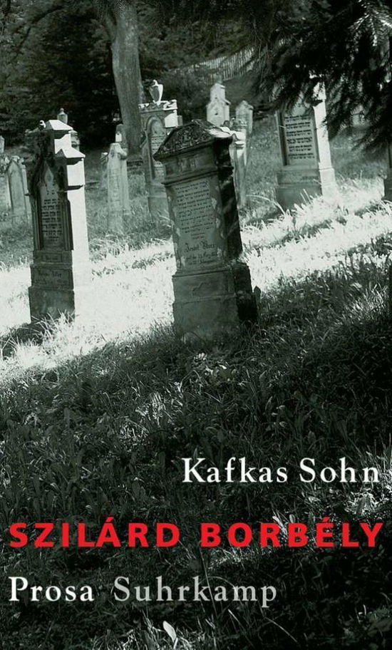 Cover for Borbély · BorbÃ©ly:kafkas Sohn (Bok)