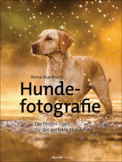 Cover for Auerbach · Hundefotografie (Buch)