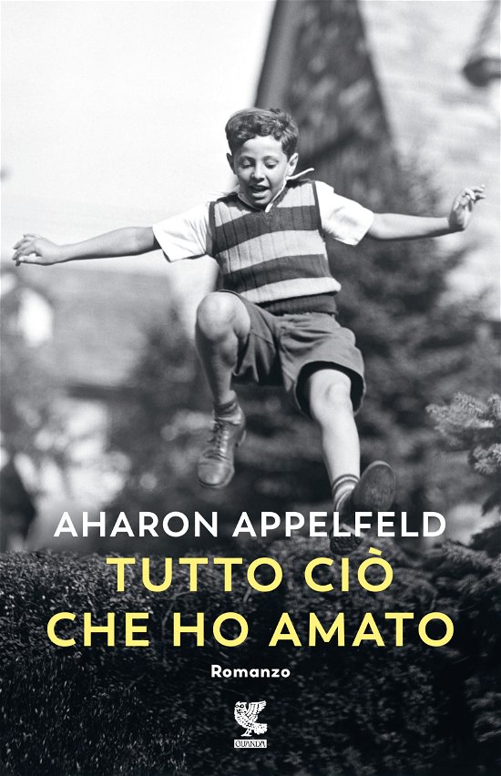 Cover for Aharon Appelfeld · Tutto Cio Che Ho Amato (Book)