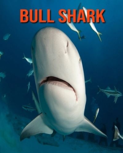 Cover for William Doyle · Bull Shark (Paperback Book) (2020)