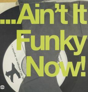 AinT It Funky Now - Ain't It Funky Now / Various - Musiikki - ACE RECORDS - 0029667514910 - maanantai 24. kesäkuuta 2002