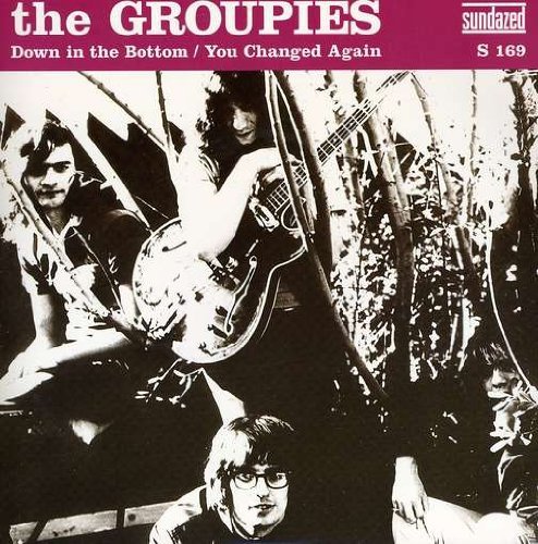 Cover for The Groupies · Down In the Bottom / You Changed Again (LP) (2017)