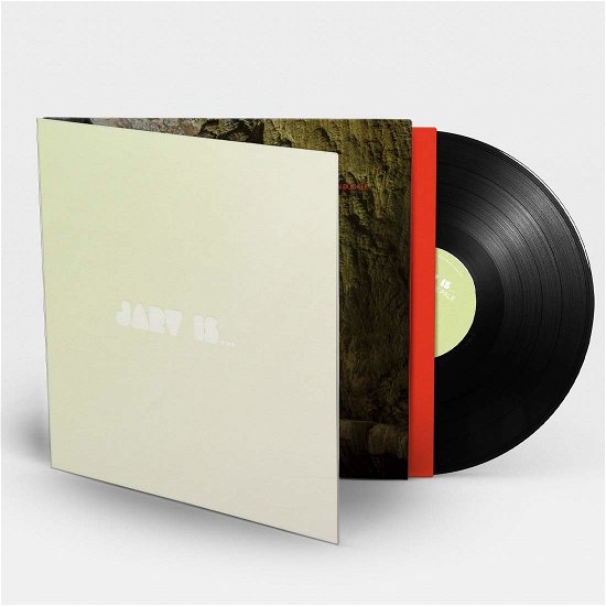 Beyond the Pale - Jarv Is... - Music - ROUGH TRADE - 0191402012910 - July 17, 2020