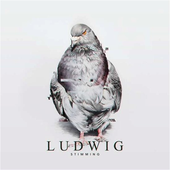 Cover for Stimming · Ludwig (LP) (2021)