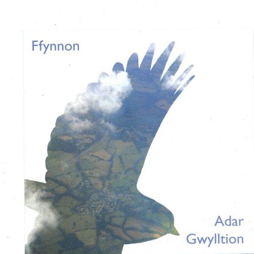 Cover for Ffynnon · Adar Gwylltion (CD) (2006)
