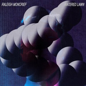 Cover for Raleigh Moncrief · Watered Lawn (LP) (2011)