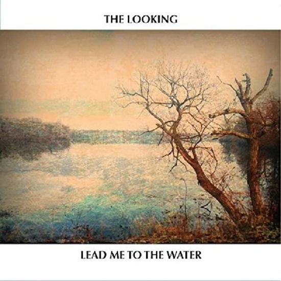 Lead Me To The Water - Looking - Musik - CONTINENTAL EUROPE - 0700261437910 - 29. Juli 2016