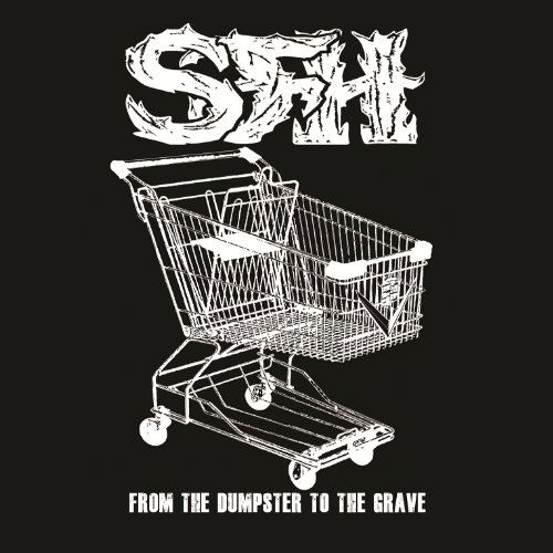 Cover for Star Fucking Hipsters · From the Dumpster to the Grave (LP) (2011)