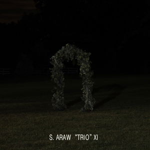 Cover for S.Araw Trio Xi · Gazebo Effect (LP) [Standard edition] (2015)