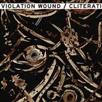 Cover for Cliterati / Violation Wound · Split (LP) (2018)
