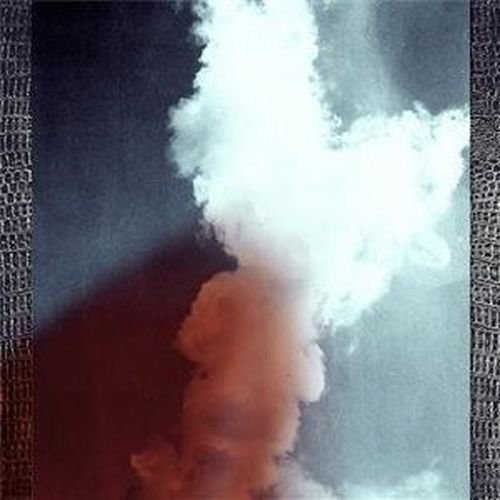 Cover for Simon Scott · Bunny (LP) (2011)