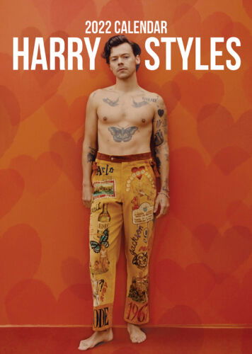 Harry Styles Unofficial 2022 Calendar - Harry Styles - Fanituote - VYDAVATELSTIVI - 3333044192910 - lauantai 15. toukokuuta 2021