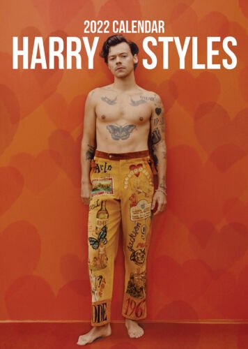 Cover for Harry Styles · Harry Styles Unofficial 2022 Calendar (Kalender) (2021)