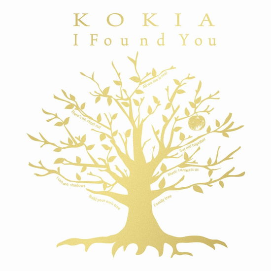 Cover for Kokia · I Found You (CD) [Japan Import edition] (2015)