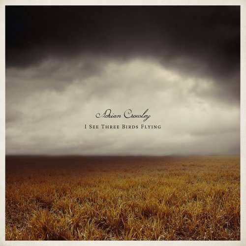 Cover for Adrian Crowley · I See Three Birds Flying (LP) (2014)