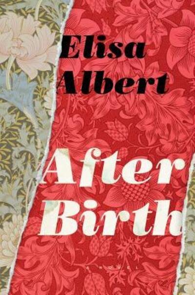 Albert Elisa Albert · After Birth (Pocketbok) (2016)