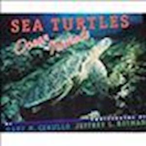 Cover for Mary M. Cerullo · Sea turtles (N/A) [Houghton Mifflin edition] (2009)