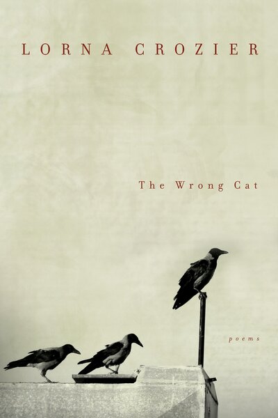 Cover for Lorna Crozier · The Wrong Cat: Poems (Paperback Book) (2015)