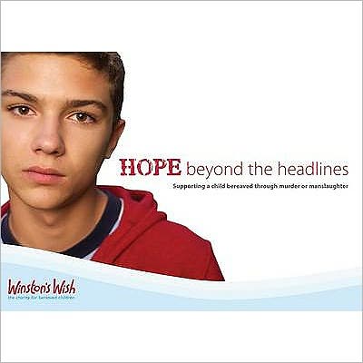 Cover for Di Stubbs · Hope Beyond the Headlines: Supporting a Child Bereaved Through Murder or Manslaughter (Paperback Book) (2008)