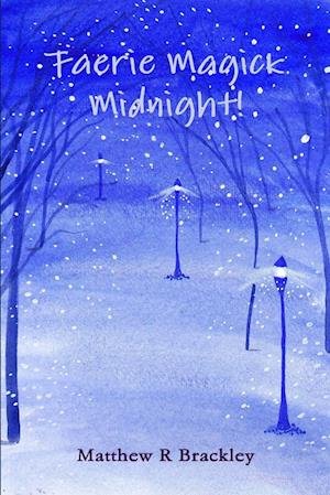 Cover for Matthew R. Brackley · Faerie Magick Midnight! (Bog) (2013)