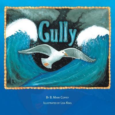 Gully - B Mark Coffey - Książki - Xlibris US - 9781425752910 - 26 września 2007