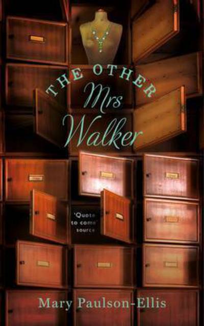 Cover for Mary Paulson-Ellis · The Other Mrs Walker (Paperback Book) [Air Iri OME edition] (2016)