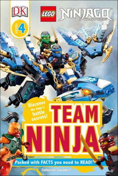 Cover for Catherine Saunders · Team ninja (Book) [First American edition. edition] (2016)