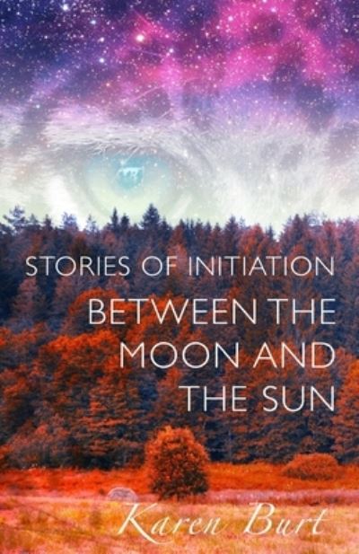 Cover for Karen Burt · Stories of Initiation (Paperback Book) (2015)