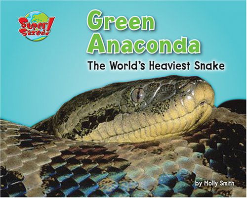 Cover for Molly Smith · Green Anaconda: the World's Heaviest Snake (Supersized!) (Hardcover Book) (2007)