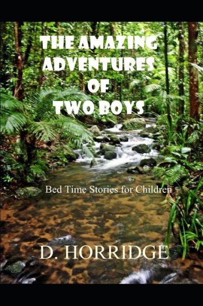 Cover for D M Horridge · The Amazing Adventures of Two Boys (Paperback Book) (2019)