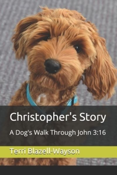 Cover for Terri Blazell-Wayson · Christopher's Story (Paperback Book) (2020)