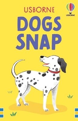 Cover for Fiona Patchett · Dogs Snap - Snap Cards (Flashcards) (2025)