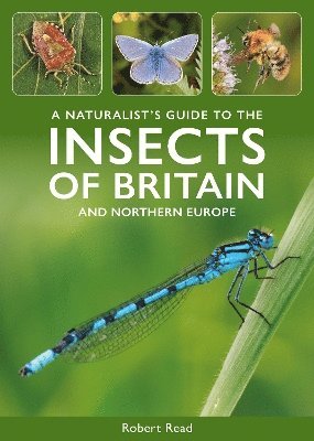 Cover for Robert Read · A Naturalist's Guide to the Insects of Britain and Northern Europe - Naturalists' Guides (Paperback Book) (2025)