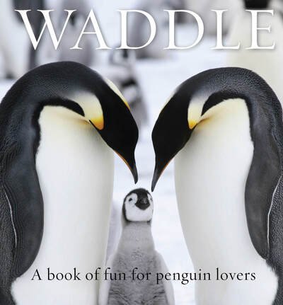 Waddle: A Book of Fun for Penguin Lovers - Animal Happiness - Lloyd Spencer - Livres - Exisle Publishing - 9781925335910 - 1 mars 2019