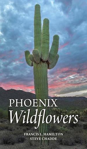 Cover for Francis Hamilton · Phoenix Wildflowers (Buch) (2025)