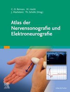 Cover for Martin Hecht · Atlas der Nervensonografie und Elektroneurografie (Gebundenes Buch) (2022)