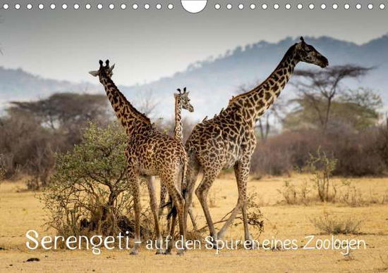 Serengeti - auf den Spuren eines Z - Maaß - Książki -  - 9783672330910 - 