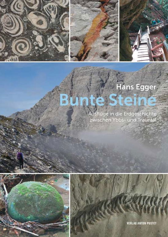 Cover for Egger · Bunte Steine (Buch)