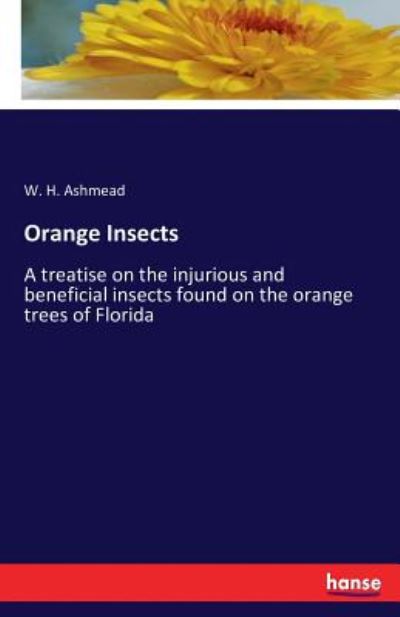 Cover for Ashmead · Orange Insects (Book) (2016)