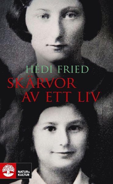 Cover for Hédi Fried · Skärvor av ett liv : vägen till och från Auschwitz (ePUB) (2004)