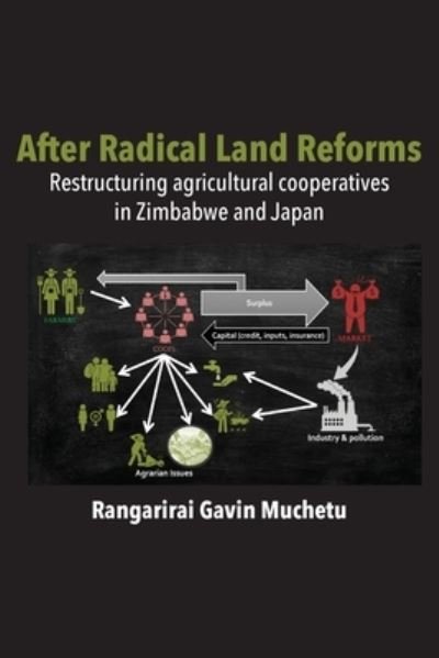 Cover for Rangarirai Gavin Muchetu · After Radical Land Reform (Paperback Book) (2021)