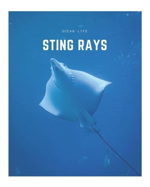 Cover for Decora Book Co · Sting Rays (Paperback Book) (2020)