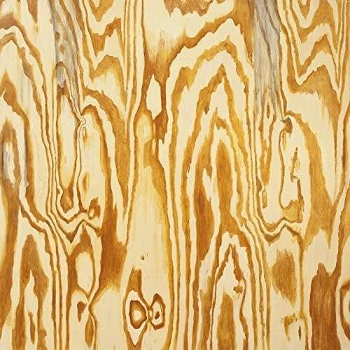 Cover for Mazes · Wooden Aquarium (LP) (2014)