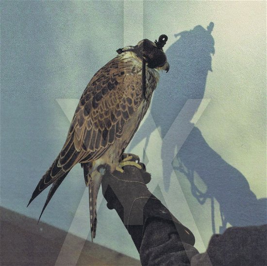 Cover for Iceage · You're Nothing (LP) [Standard edition] (2013)