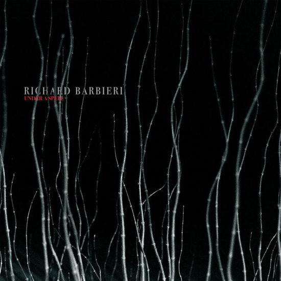 Under A Spell - Richard Barbieri - Musik - KSCOPE - 0802644810911 - 26. februar 2021